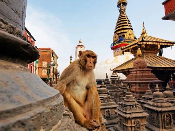 Swayambhunath